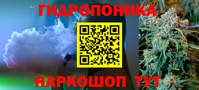 ГАЛЛЮЦИНОГЕННЫЕ ГРИБЫ Владимир