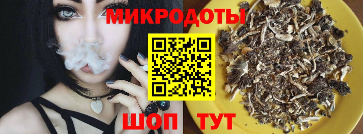 Псилоцибиновые грибы Psilocybine cubensis  Галлюциногенные грибы прущие грибы  как найти   Вход с VPN  Вышний Волочёк 